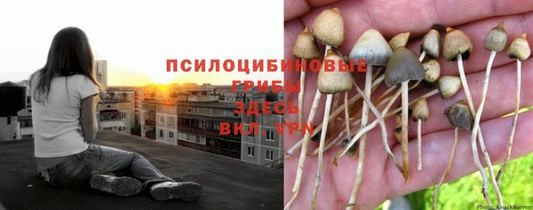 трава Нефтекумск