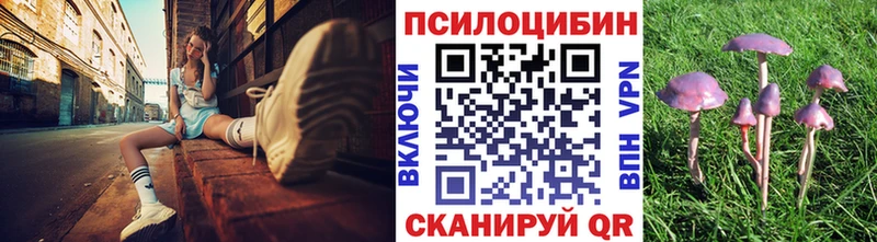 Псилоцибиновые грибы GOLDEN TEACHER  закладка  кракен маркетплейс  Северо-Курильск 